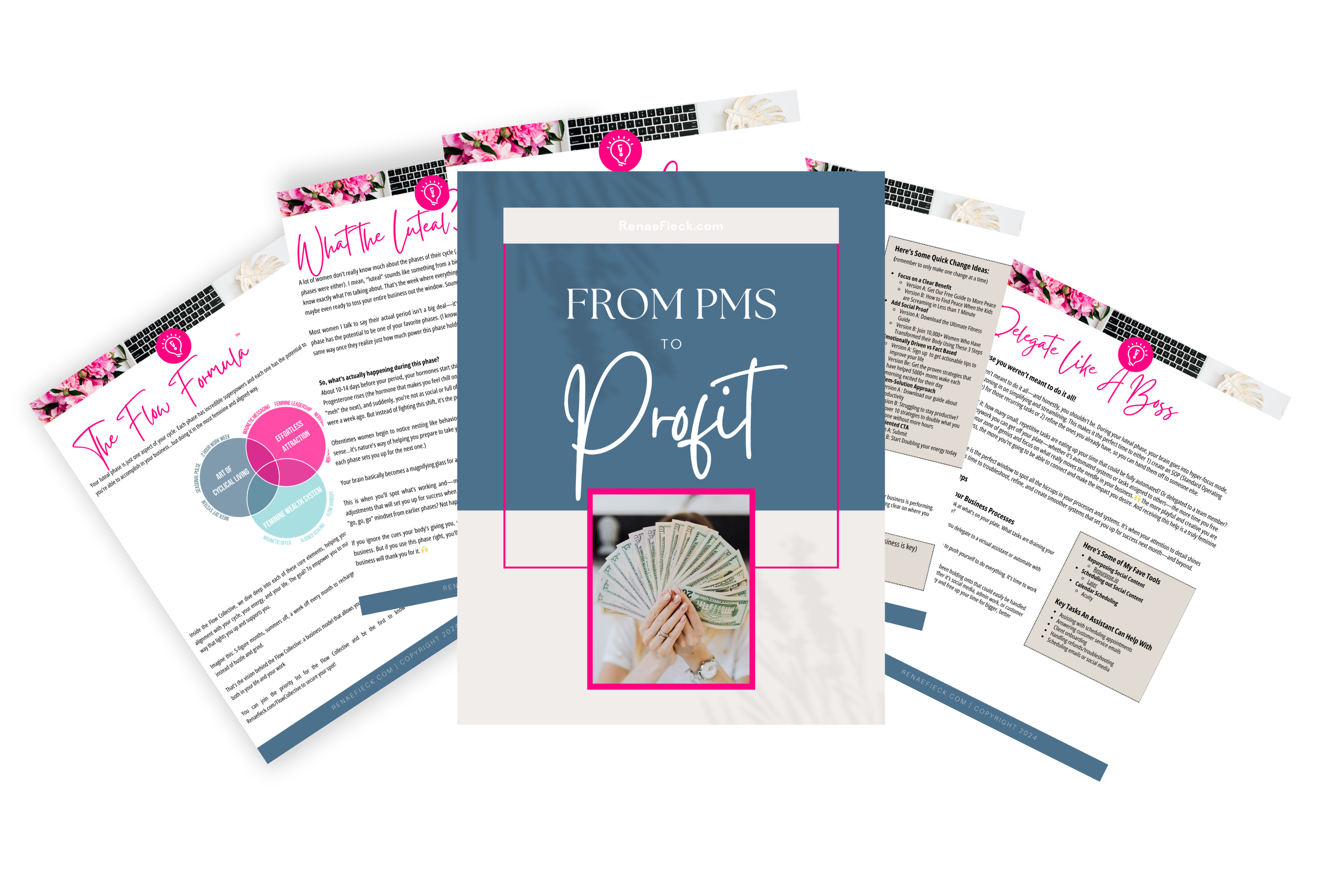 PMS To Profit Guide